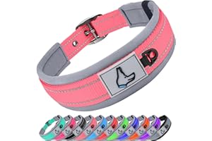 Joytale Collar Perro Pequeño, Resistente y Reflectante, Ajustable de Acolchado Neopreno Nylon, Rosa, S