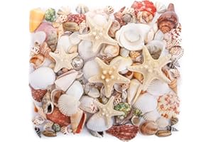 yarlung 1.1 Pounds/500g Mixed Beach Seashells Starfish, Colorful Natural Seashells Supplies for Fish Tank, Home Decorations, Beach Theme Party, Candle Making, Wedding Decor, DIY Crafts