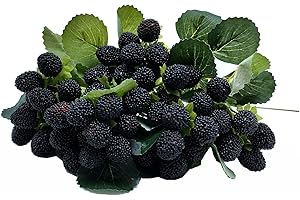 M2cbridge 4PCS Artificial Raspberry Red Berry Strawberry Faux Fruit BlackBerry Props Table Decoration (Black)