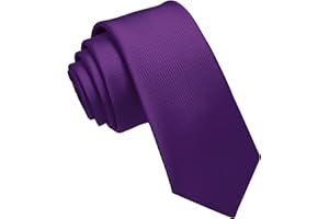 JEMYGINS 2.4" Solid Color Skinny Tie Slim Necktie for Men (6cm)