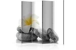 BIOMBO B&D XXL murando Biombo 225x172 cm de Impresion Unilateral en el Lienzo de TNT Decoracion Foto Biombo de Madera con Imagen Impresa Separador Grande Home Office b-B-0190-z-c