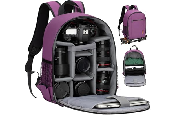 best compact camera backpack