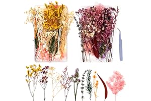 EKOCEV Dried Flowers 2 Boxes Natural Dried Flowers, Small Dried Flowers for Crafts for Flowers Decoration DIY Cards Resin and Scrapbooking