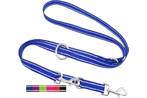 DEY - Premium Hundeleine Nylon 2m | Reflektierend | 3fach Verstellbar | für Kleine, Mittelgroße u. Große Hunde | viele Farben |Doppelleine Hund | Schleppleine | Führ-Leine | Welpenleine | Blau, S