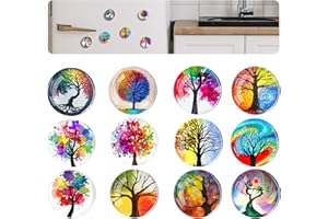 FuninCrea 12 Aimants de Réfrigérateur d'arbre de Vie, Magnétiques de Bureau en Verre 3D Petits Autocollants de Réfrigérateur d'arbre de Vie pour Décorer Le Tableau Blanc de Bureau de Boîte (A)