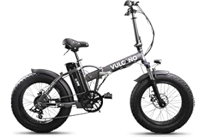 DME BIKE, Vulcano S-Type, Bicicletta Fat-Bike Elettrica Pieghevole a Pedalata Assistita 20" 250W 36V. Sella in gel memory e ribaltabile, chiusure top-Security e Telaio resistente in alluminio