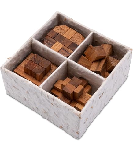 Ajuny 12 Puzzels in een Doos - Houten Hersenkrakers 3D Puzzelspel Set voor Volwassenen met Decoratieve Opbergdoos Glazen Deksel Uitdagende Educatieve Kinder Denkspellen Verjaardagscadeau