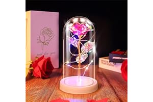 Ptesuply Beauty and The Beast Rose Lamp In the Glass Dome, Eternal Rose Artificial Flower with LED Light, Gift for Women Girl for Birthday Valentine's Day Mother's Day Christmas Anniversary