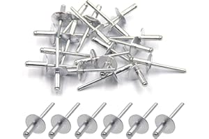 BESTYCHAO 50 Stück Aluminium-Blindnieten mit großem Flansch 4,8mm x 12mm, 50er-Pack (Silber)