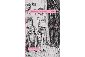 Something Happened Here: an illustrated novel