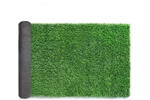 LITA Césped Artificial sintético de Primera Calidad, Altura de Pila de 10 mm, césped Artificial Falso de Alta Densidad, jardín de Aspecto Natural y césped para Perros de compañía Realista (1x3m)