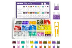 DIGANK 165 Pcs Car Fuses Kit – Mini & Standard Blade Fuses, 2A-40A, Mixed Pack with Storage Case & Fuse Puller – Automotive Set for Cars, Trucks, SUVs, 12V-32V Applications