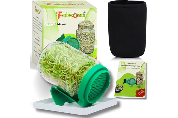 FEBZONA Sprout Maker Jars, Sprouting Glass Jar, salad box Durable & Reusable Sprouter for All Seeds and Beans (GREEN, PACK OF ONE)