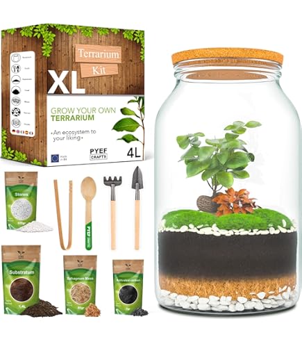 Planten