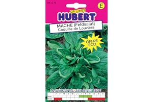 GRAINES HUBERT SEMENCES & ENGRAIS MAIROL Graines de Mache (Feldsalat) Coquille de Louviers - 12 grammes