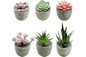 Cayway 6 sztuk sztucznych sukulentów, zestaw doniczek, sztuczne sukulenty, rośliny do biura, domu, salonu, jako dekoracja stołu, do wnętrz