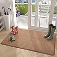 Color G Door Mat 50 X 80 cm, Doormat Dirt Trapper Non-slip, Machine Washable, Soft, Absorbent Entrance Rug Floor Mat for Entryway, Patio, Hallway, Garden, Indoor, Outdoor, Pets and Dogs (Brown)