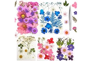 GuangZhou Getrocknete Gepresste Blumen, Gemischte Blätter, Mehrfarbige Trocken Blume für DIY Harz Schmuck Nagel Handwerk Sammelalbum Dekorationen…, SUEolmo5363320