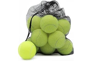 Magicorange Palle da tennis, 20 pezzi, palline da tennis avanzate, palline da allenamento, palline da gioco per cani e animali domestici, con tasca a rete per un facile trasporto