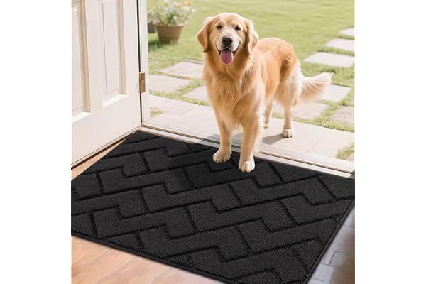 Biscpro Tapis de Porte Paillasson 60x90cm Interieur et Extérieur Antidérapant Absorbant, Facile à Nettoyer, Chambre, Cuisine, Couloir -Gris Foncé