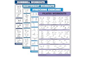 Palace Learning 4 Pack - Dumbbell Workouts + Bodyweight Workouts + Stretching Exercises + Pilates - Set of 4 Workout Charts (18” x 24”, LAMINATED)