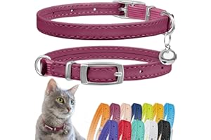 CollarDirect Collier pour Chat en Cuir avec Sangle Elastique et Cloche - Sécurité pour Chaton - Noir, Bleu, Rouge, Orange, Vert Lime, Rose (20-28 cm)