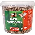 Extra Select Dried Mealworms for Wild Birds: Protein Rich Wild Bird Food for Robins to Hedgehogs - Meal Worms for Garden Birds - 5 Litre Tub