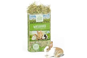 Heuland Wiesenheu 1kg – für Kaninchen, Meerschweinchen & Hasen – naturbelassenes Premium-Heu aus artenreicher Wiese – sonnengetrocknet – hoher Rohfaseranteil – für Verdauung & Zahnabrieb (1kg)