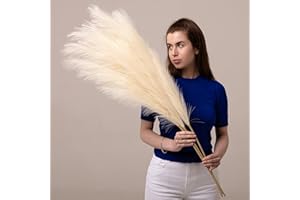 ORNA THE SOUL OF YOUR HOME ORNA Künstliches Pampasgras – 114 cm Künstliche Blume – 3 Stück extra Lange und Flauschige Stiele mit jeweils 20 Zweigen Deko für Vase und Wohnzimmerdekoration (Beige)