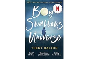 Boy Swallows Universe