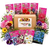 Nojus My Garden Meadow Flower Seed Collection - 30 Varieties - Flower Seeds for Balcony Pots, Cottage Gardens and Colorful Ou