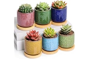 T4U 6cm Succulent Plant Pot Set of 6, Ceramic Cactus Plants Pot with Tray for Cactus, Ice Crack Serial Small Plant Pots for Garden Gifts, Mini Colourful Planter Decoration for Indoor Outdoor Plants