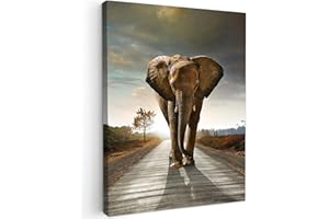 MuchoWow© Cuadros para Salon 50x70 cm Foto con Lienzo Canvas Laminas Cuadro Dormitorio Decoracion Hogar Pared Quadro Elefante - Carretera - Animales - Amanecer - Paisaje