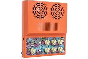 Caline 20W Electric Guitar Amp Rechargeable Mini Amplifer Combo for Desktop Practice with Distortion, Delay, Aux in and Headphone Jack, CA-100 G