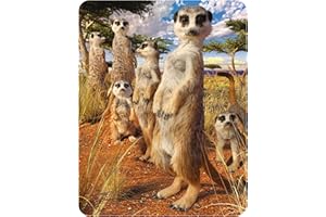 Deluxebase Magnet 3D LiveLife - Regard de Suricates de Aimant lenticulaire Puissant pour frigo 3D Safari. Magnet décoratif Enfants & Adultes Illustrations sous Licence Artiste renommé David Penfound