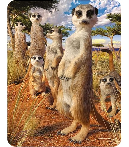 Calamita 3D Frigorifero A Tema Safari - Magnete Lenticolare Con Animali - Deluxebase 3D LiveLife