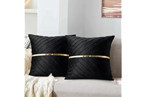MAIXUN Copricuscini Divano Nero Cuscini Divano Federa per Cuscini per Sedie Eleganti Oro Banda Decorativa per Auto Giardino Campeggio Soggiorno Camera Letto 40x40 cm Set di 2