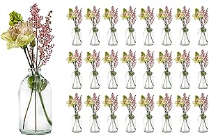 ‎CASAVETRO casavetro 24 x Mini Vase Glasfläschchen kleine Flasche Tischvasen Set Glas Deko-Flaschen Väschen Vasen Hochzeit-Deko_(TR 100ml ohne Korken)