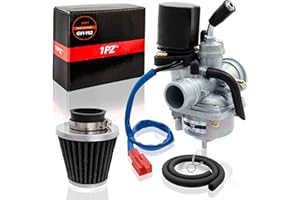 1PZ GV1-Y02 Carburatore 19mm con Starter Elettrico di Ricambio per 2 tempi Dinli 50cc 70cc 90cc 100cc 110cc ATV