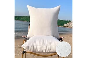 QSWRD 40 x 40 CM Outdoor Cushions Inserts Small Throw Pillow Inserts Pack of 2 Waterproof Patio Furniture Cushion Decorative Porch Couch Cushions Premium Square Sofa Cushion, White