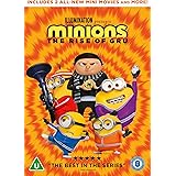 Minions: The Rise of Gru [DVD] [2022]