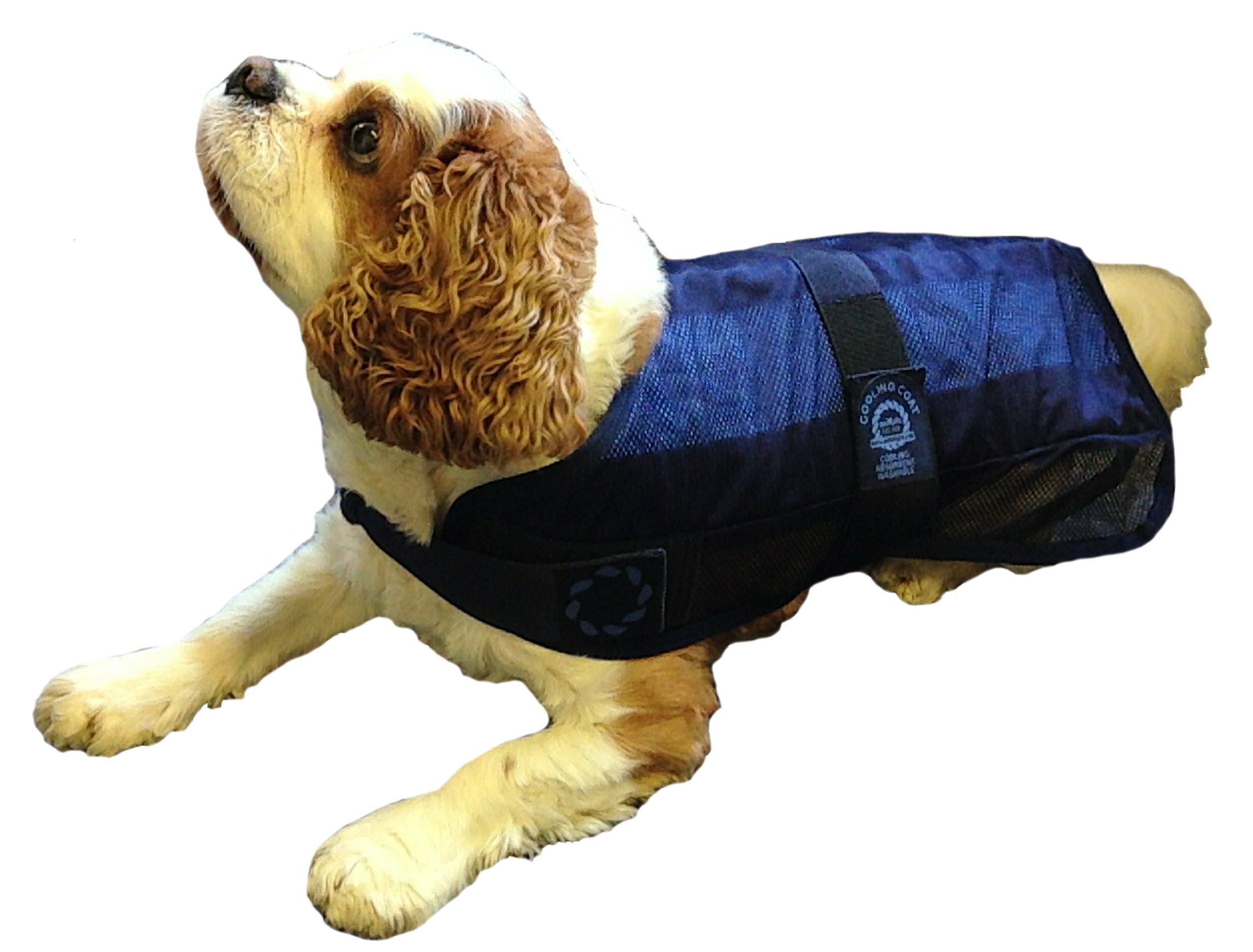 Animate Cooling Dog Coat and Bag, Large, 20Inch, Navy Dogs.co.uk