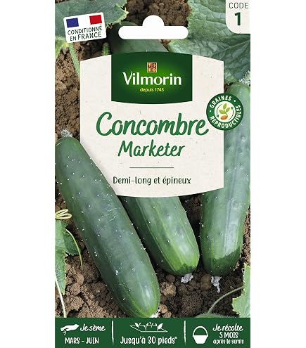Vilmorin - Pomodoro Harmony - vigoroso - resa fino a 2-4 kg p