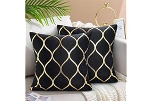 Hanrunsi Velvet Cushion Cover Black Throw Pillow Covers with Gold Lines Square Decorative Cushion Case Soft for Home Sofa Living Room Bedroom 18x18 Inch 45x45 cm Pack of 2