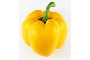 LIEFERFRUCHT Paprika gelb frisch, 5 er Packung