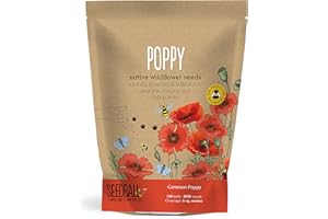 SEEDBALL Poppy Seed Bombs – 100 Seed Balls Per Pack | Bursting with Beautiful Red Poppy Flowers | Clay Protected for Bees, Butterflies, Birds & Other Garden Wildlife