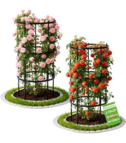 VEVOR Tuteur Plantes Grimpantes 28x28x162 Cm, Treillis Pour D 848620 VEVOR Tuteur Plantes Grimpantes 28x28x162 Cm, Treillis Pour D 848620