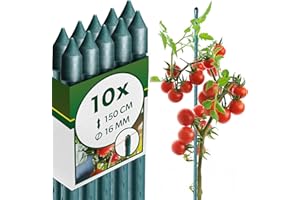 KADAX Lot de 10 Tuteurs en Acier avec revêtement - 150 cm x 16 mm - Tuteur pour Plantes - Résistant aux intempéries - Tuteur à tomates avec Crochet