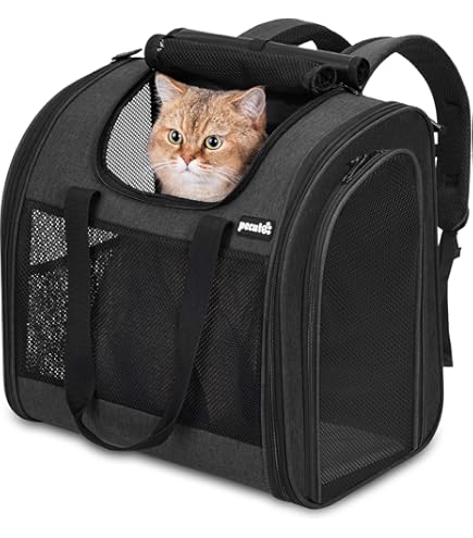 Eastpak Provider - Laptop rugzak - Grijs