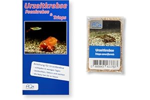 AQ4Aquaristik Triops cancriformis, ca. 100 Urzeitkrebse Eier in Sand, Zuchtansatz mit Anleitung, Europäischer Sommerschildkrebs